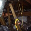 photo13